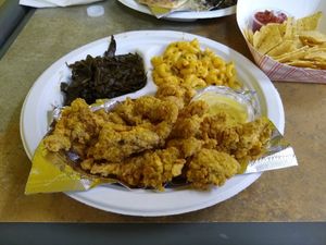  at Our Vegan Corner in Syracuse