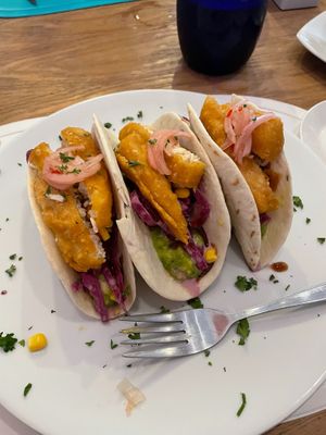 Fish less tacos  at Origin Cafe in Noord