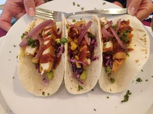 Fishless tacos at Origin Cafe in Noord