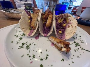 Fish Tacos  at Origin Cafe in Noord
