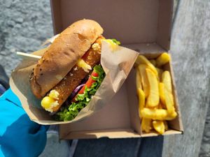 Fried cheese in a bun & french fries at Vegánsky Gazda in Trencin