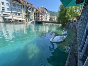 The view   at Das Sündikat in Thun