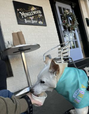 The pupcups are hugee  at Minglewood Bake Shop in Richmond