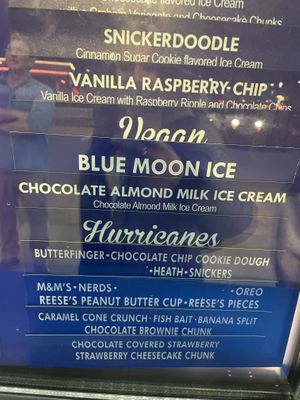 Vegan!  at Handel's Homemade Ice Cream in Fishers