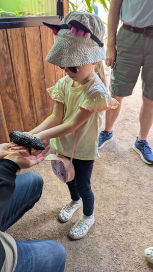  at Australian Wildlife Sanctuary in Bargo