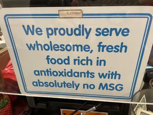 No MSG! at Thai Elephant Express in San Jose