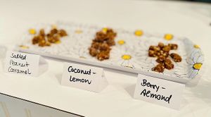 Samples of the bliss balls at Coco Lov in Tampa