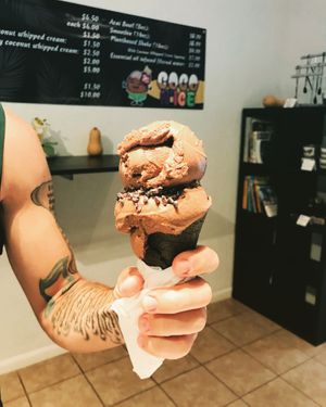 Chocolate ice cream with cacao nibs at Coco Lov in Tampa