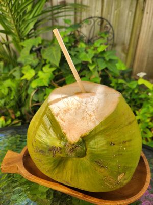  at Coco Lov in Tampa