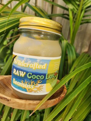  at Coco Lov in Tampa