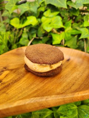  at Coco Lov in Tampa