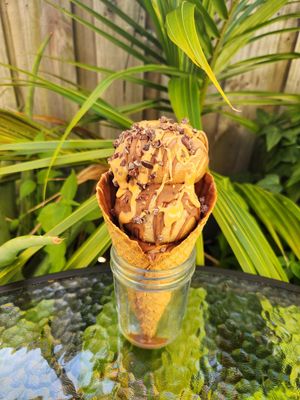  at Coco Lov in Tampa