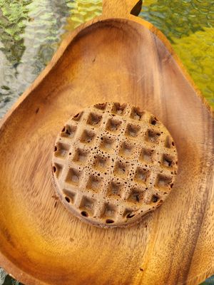  at Coco Lov in Tampa