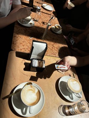   at Antico Caffè San Marco in Trieste