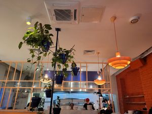  at Peaches Gastro Girls in Warsaw