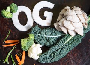 Organic Grill aka OG  uses only organic ingredients  at The Organic Grill in New York City