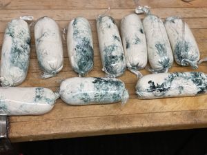 House made cashew blue cheese  at The Organic Grill in New York City