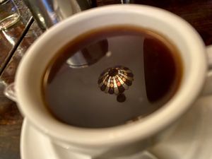 reflection  at The Organic Grill in New York City