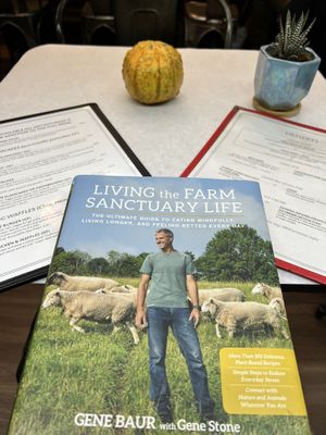   at The Organic Grill in New York City