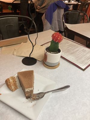 Tiramisuu at The Organic Grill in New York City