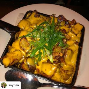 Loaded fries served with our house made vegan cheese ! at The Organic Grill in New York City