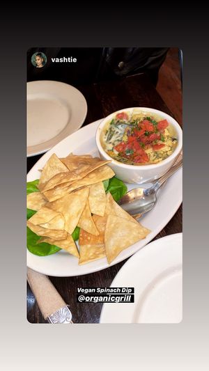 Spinach Dip is one of the best appetizers of 2019 !  at The Organic Grill in New York City