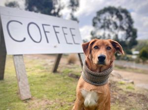 Bruni, most loyal customer  at Lunawanna Store in Lunawanna