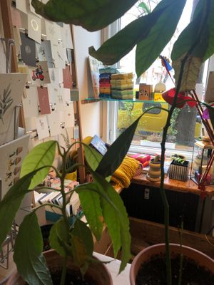 It's a green space at Pomeranze Kaffeebar in Berlin