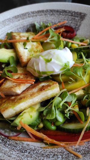 Detail of the fresh salad with tofu at Vegan World Peace by Loving Hut in Reykjavik