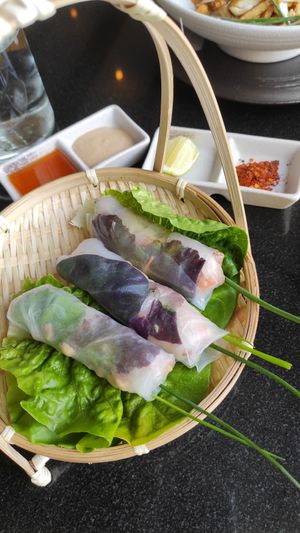 Fresh spring roll with filled with veggies, peanuts and tofu at Vegan World Peace by Loving Hut in Reykjavik