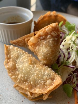 Japanese pan fried gyoza at Vegan World Peace by Loving Hut in Reykjavik