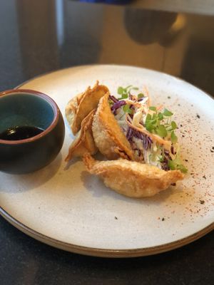 Gyoza at Vegan World Peace by Loving Hut in Reykjavik