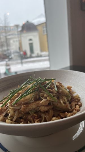   at Vegan World Peace by Loving Hut in Reykjavik