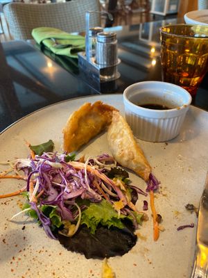 Goyza   at Vegan World Peace by Loving Hut in Reykjavik