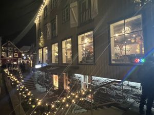   at Vegan World Peace by Loving Hut in Reykjavik