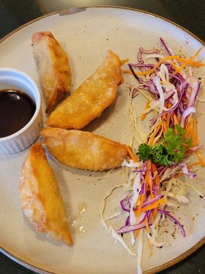 Fried gyoza at Vegan World Peace by Loving Hut in Reykjavik