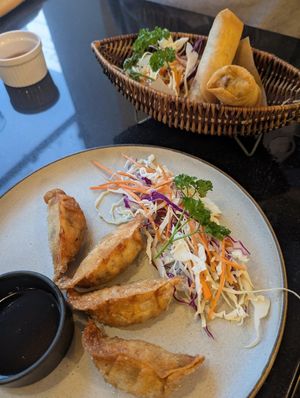 Spring rolls and pot stickers at Vegan World Peace by Loving Hut in Reykjavik