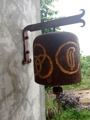 Amazing vibes at Mikado Sushi Ramen - Hotel El Sol Morrillo in Morrillo