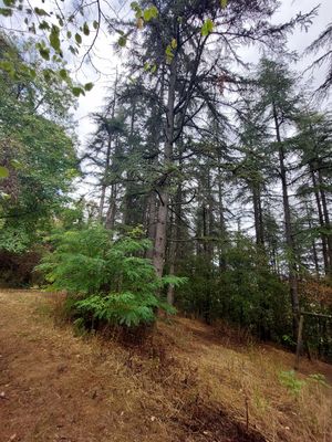  at Dulcamara in Ozzano Dell-emilia