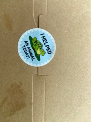  at The Hungry Caterpillar in Jacksonville