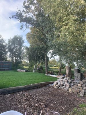 Back yard  at De Groene Gevel in Woerdense Verlaat