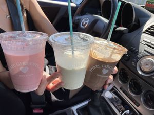 Strawberry, vanilla, and chocolate milkshakes at Three Girls Vegan Creamery - Downtown in Guilford