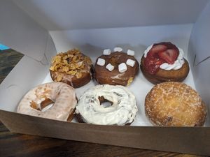 A variety of yummy donuts at The Donut GroVe in Orono