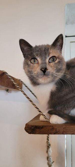 😻 at Gatorium in Quito