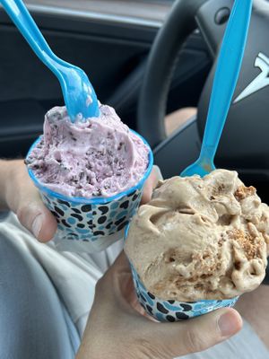   at Holy Cow Ice Cream Cafe in Gloucester