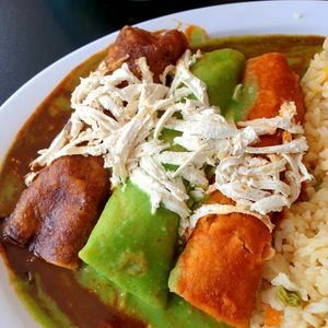 3 color vegan enchiladas at Mamicon's Vegan Mexican Restaurant in Northridge
