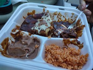 Mole Enchiladas at Mamicon's Vegan Mexican Restaurant in Northridge
