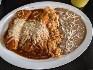 Jackfruit birria enchiladas plate at Mamicon's Vegan Mexican Restaurant in Northridge