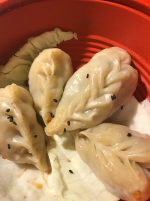 Vegan gyoza filled with soy noodles, mushrooms and cabbage at Handa in Padua