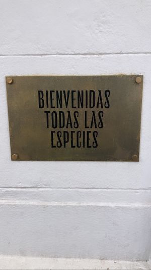 ❤️   at Bioma in Buenos Aires